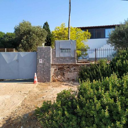 Cap Sounion Seafront Apartments -Adults Only Exteriér fotografie