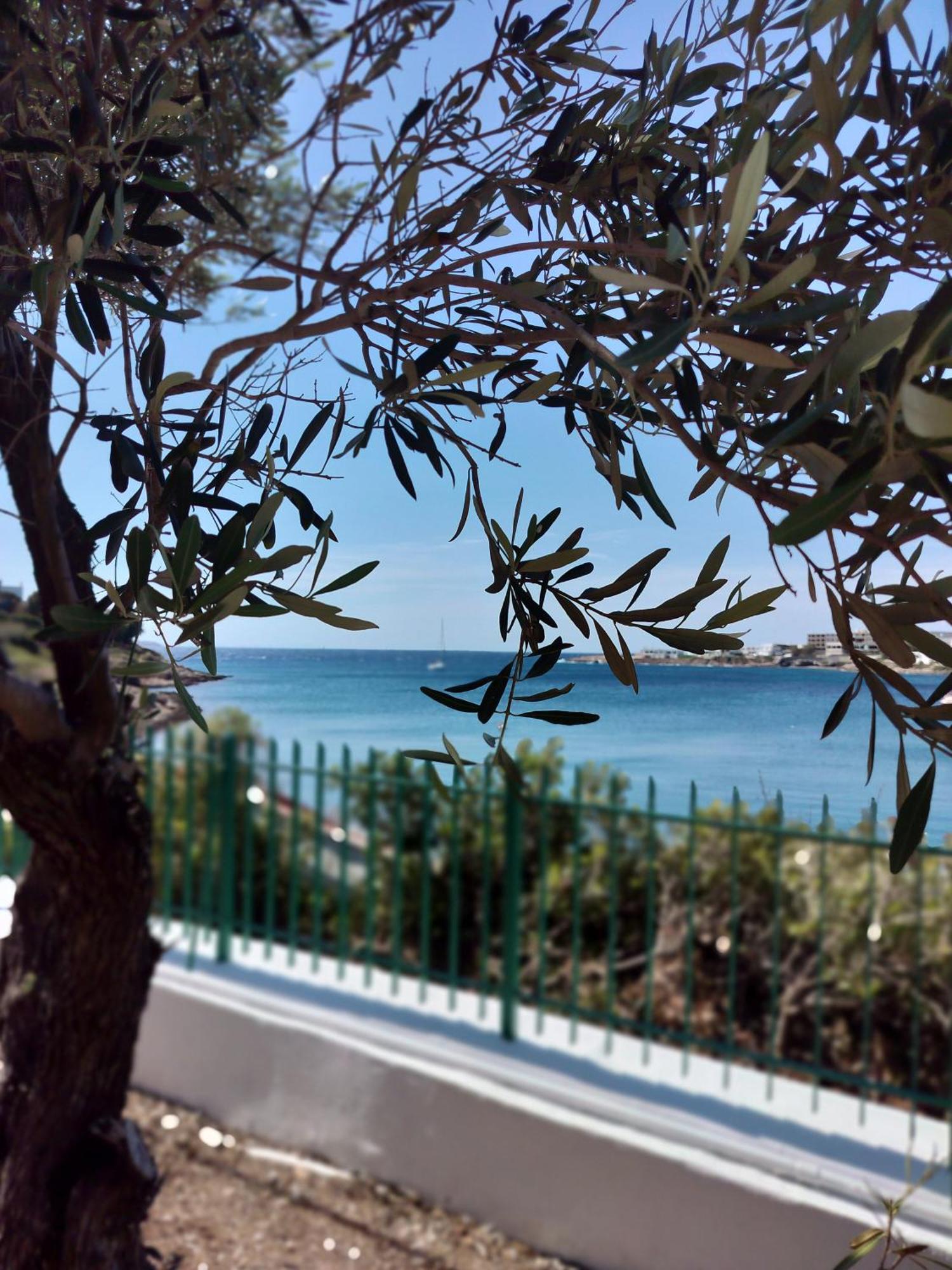 Cap Sounion Seafront Apartments -Adults Only Exteriér fotografie