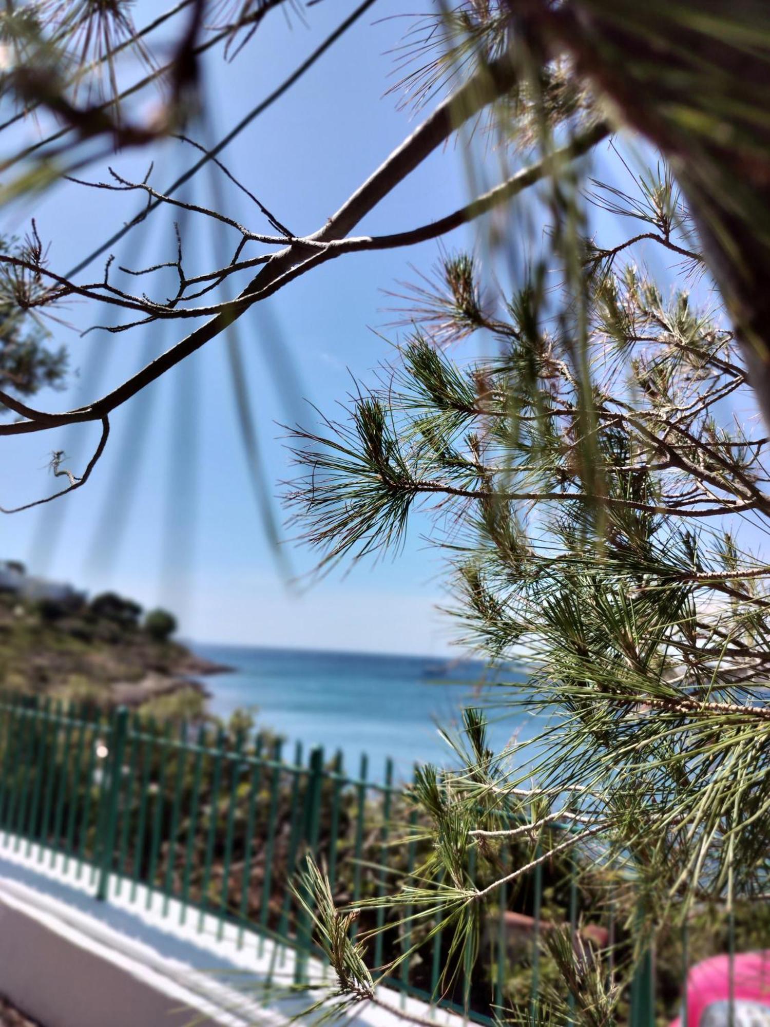 Cap Sounion Seafront Apartments -Adults Only Exteriér fotografie